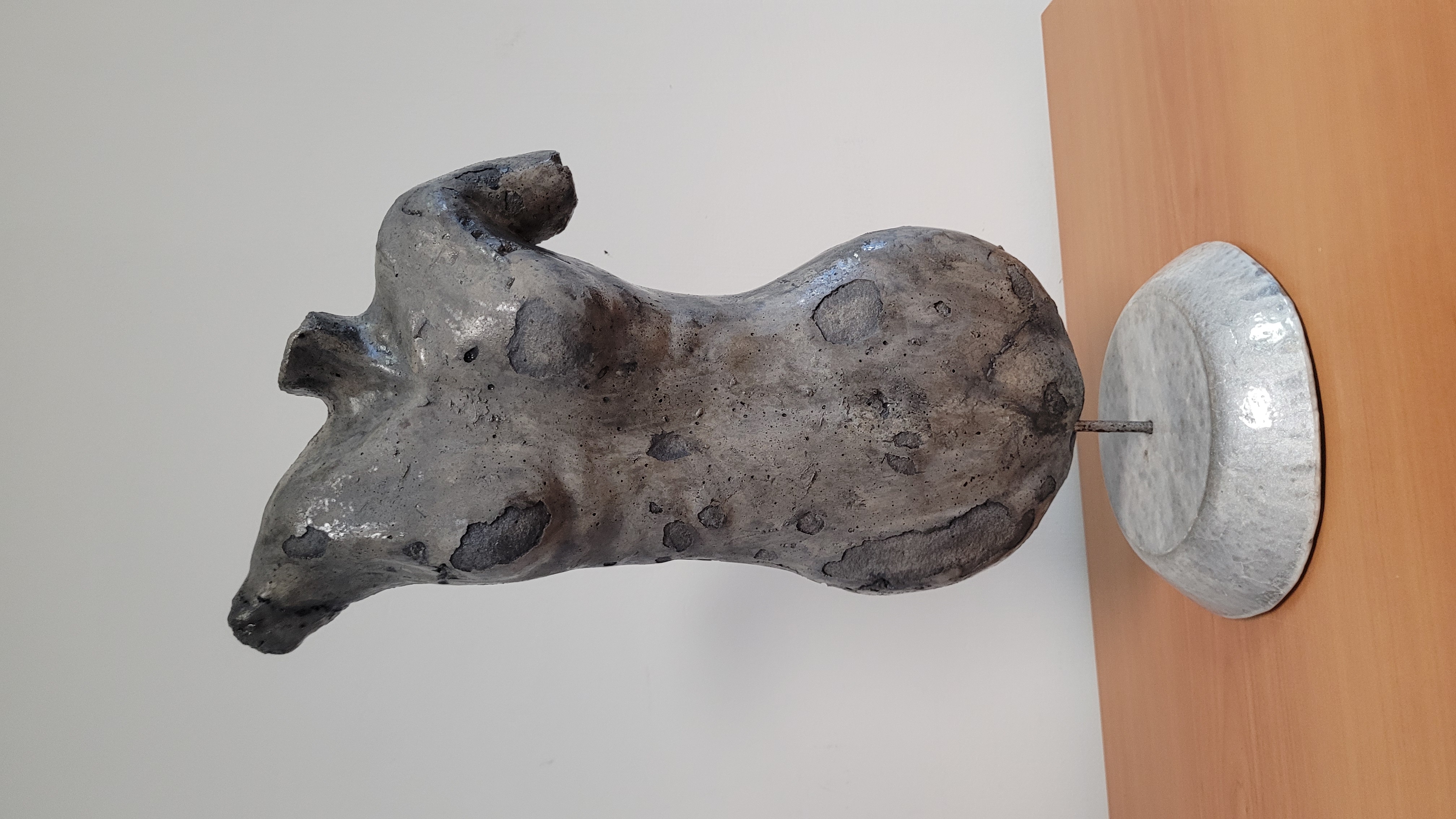 SFUMATURE DI GRIGIO CEMENTO